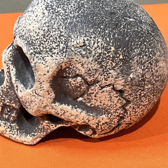 Gray and White Skull Decor Set - Picture 9 of 15